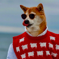 Bodhi Menswear Dog