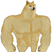 Yoked Shiba