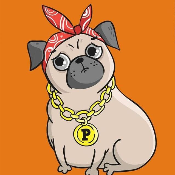 Rich Doge