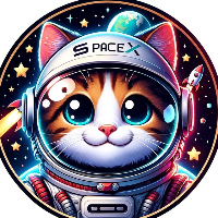 SpaceX Cats