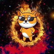 MoreDOGE