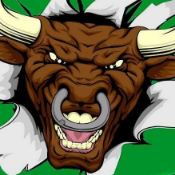 BULL FLAG