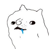 Retard Doge Coin