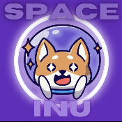 Baby Astro Inu