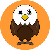 Baby eagle coin