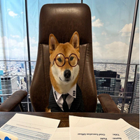 Ceo Floki Inu