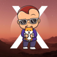 X CEO