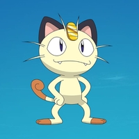 Meowtgecat