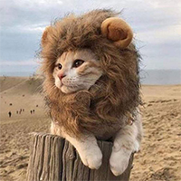 Mewfasa - The Lion Cat King