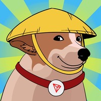 $SUNGOU 孙狗