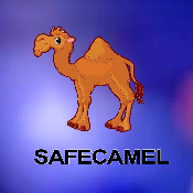 SafeCamel