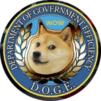 Department Of Government Efficiency