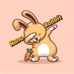 NANO RABBIT