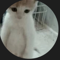 SADCAT