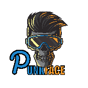 PUNKFACE