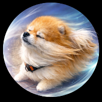 WindDog