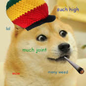 DogeWed