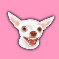 Niki Doge Coin