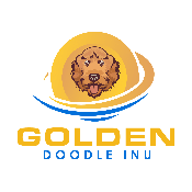 Golden Doodle Inu