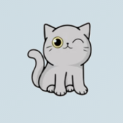 Shiba Cat