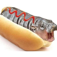 MooDOG