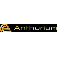 Anthurium