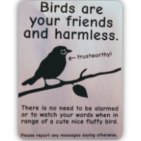 Harmless Birds