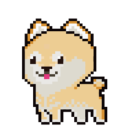 Punky Shiba