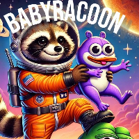 BABYRACCOON