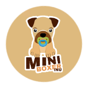 Mini Boxer INU