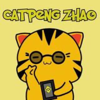 CATPENG ZHAO