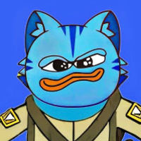 BOLSHI CAT