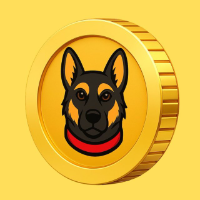 Malinois Dog