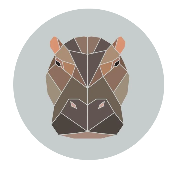 Hippolygon