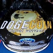 AutoDOGE