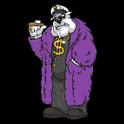 Pimp Doge Coin