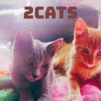 2 CATS