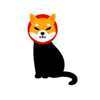 Black Cat Inu