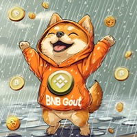 BNB GOUT
