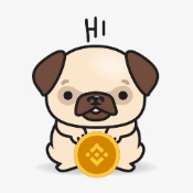BNB Doge