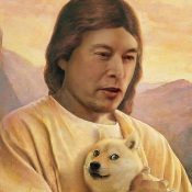 ElonFuckShiba