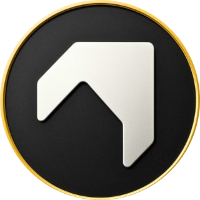 Staynex