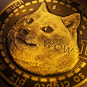 DOGE PUMP