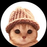 SILLYCAT