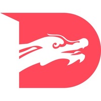 Drragon Inu Options