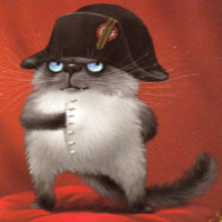 NAPOLEON CAT