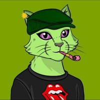 DEFI CAT