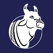 Nandi Bull
