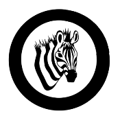 Zebra Finance