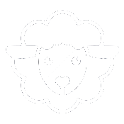BitSheep